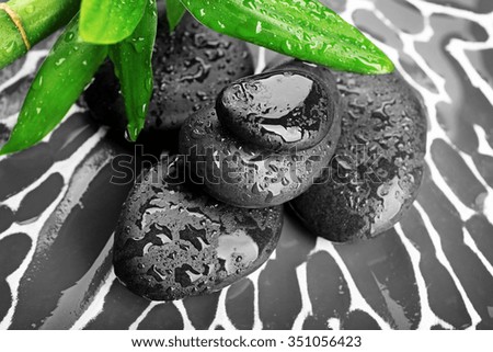 Spa stones and bamboo branch on dark background