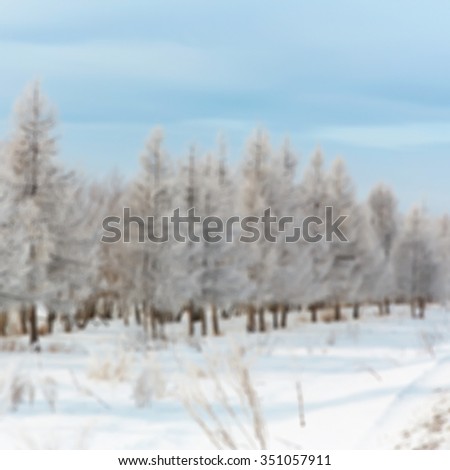 nature blurred background. scenic winter landscape. view trees with snow