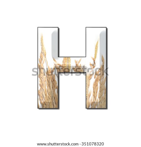 wheat inside letter H