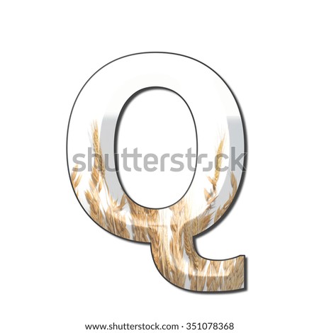 wheat inside letter Q