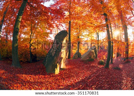 On the highland forests of the Carpathians in Ukraine comes the golden autumn with its fantastic colors, covering forest and poloniny.Krasnye and orange, purple beech forests are very beautiful colors
