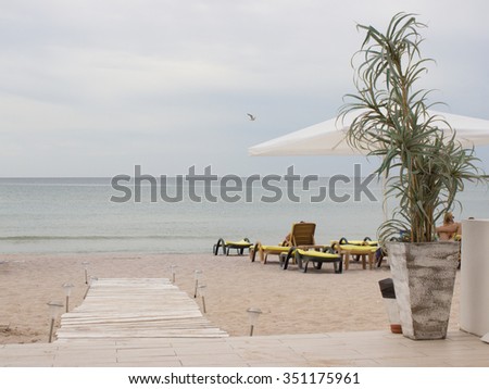 beach on the Black Sea coast