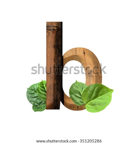 wood and leaf Eco friendly letter b