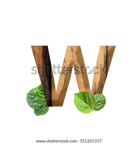 wood and leaf Eco friendly letter w