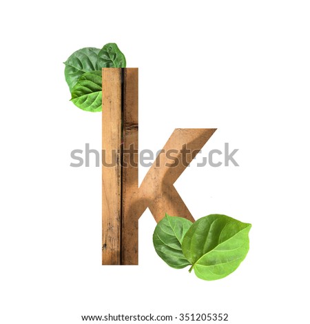 wood and leaf Eco friendly letter k