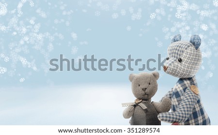2 bears isolated on white background.