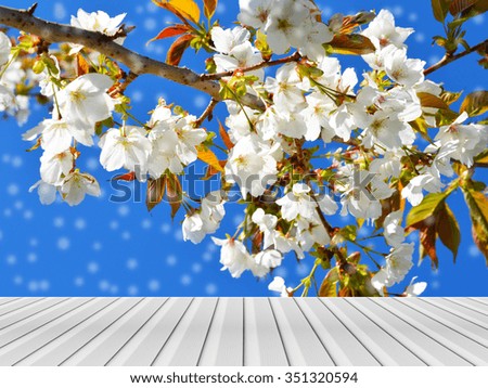 wooden terrace with white blossom background