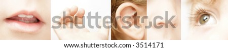 hearing, sight, taste, touch, and smell Royalty-Free Stock Photo #3514171