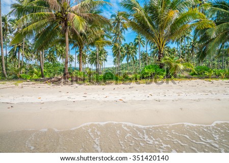 Beautiful coconut tree in tropical island beach - Koh Kood, Trat Thailand