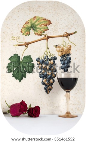 Ancient glass of red  wine background grape cluster decorated, romantic moment with red rose ,cutout photo,  natural light, vertical photo