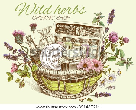 Vector vintage template illustration of hand-drawn basket with wild flowers, herbs and natural products. Design for cosmetics, store, beauty salon, natural and organic products. 