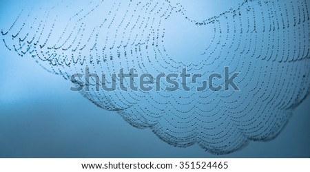 Beads - A spider's web in a rainy day