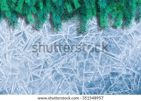 Christmas or New Year decoration background. Branches of pine trees on the background of ice.