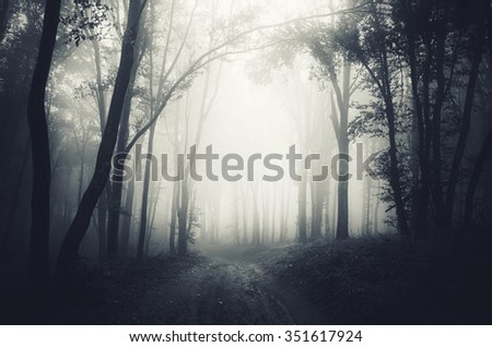dark forest fog Royalty-Free Stock Photo #351617924