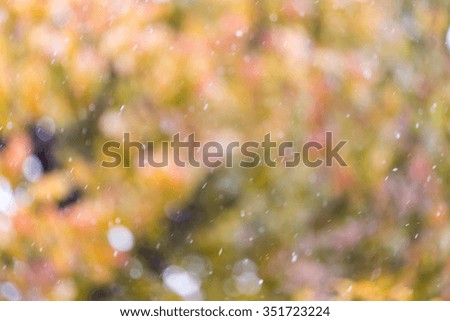 the first snow in the autumn as a background