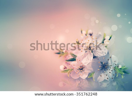 Spring card with blooming with soft light effect