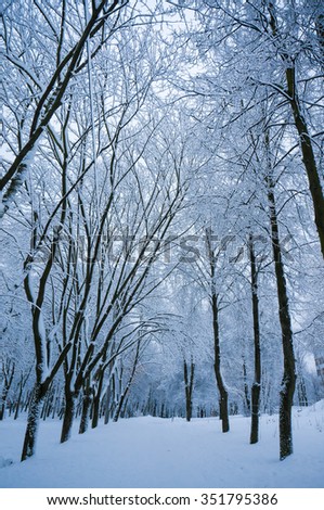 Fabulous evening winter background with snowbound alley