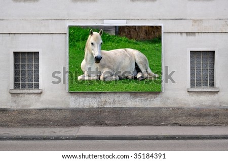 billboard with white horse in grass