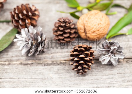 Still life composition with mistletoe, pine cones and walnuts. Christmas theme