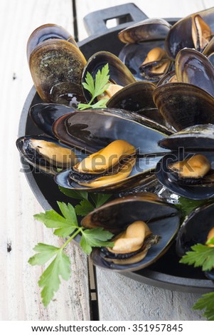 gourmet mussels