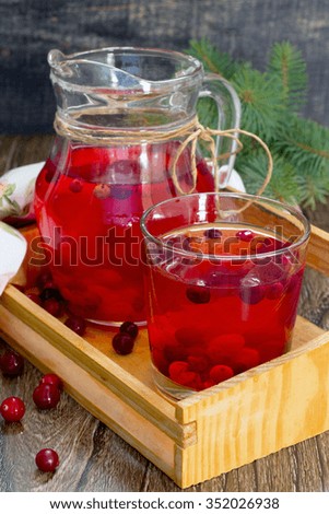 Red cranberry fruit drink, a pitcher and a glass.