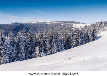 Majestic winter trees glowing by sunlight. Dramatic wintry scene. Location Carpathian national park, Ukraine, Europe. Alps ski resort. Beauty world. Instagram toning effect. Happy New Year!