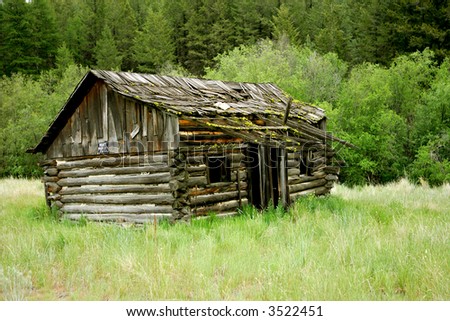 Old log cabin in woods
