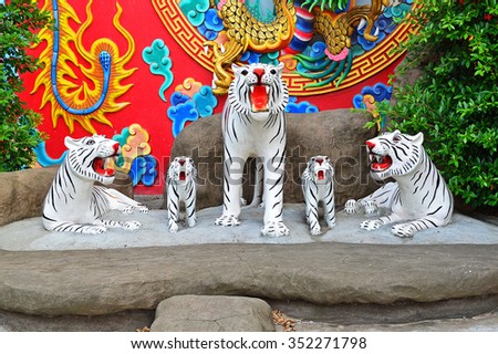 Tiger statue - White Tiger statue in the garden.Molded with cement and Decorated with oil paint.Standing gracefully in the open mouth.It is roaring powerfully.