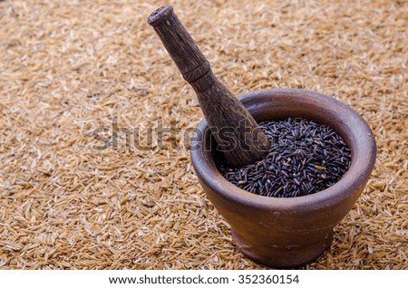 Closeup details of Thai rice berry in mortar over rice chaff background