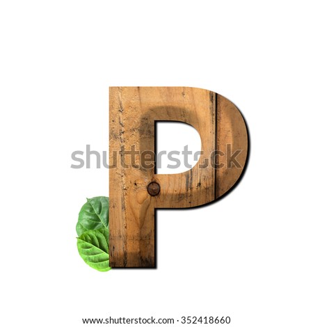 Vintage wooden letter P with green leaf. eco friendly.