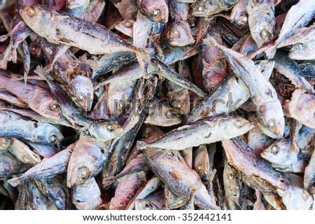 Dried fish waiting to be made into food.