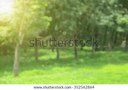 Blur nature green park with sun light abstract background.