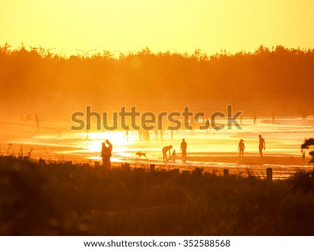 Group of people at sunset on the beach