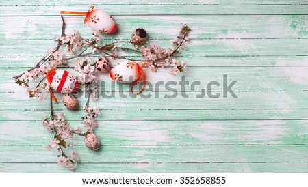 Background with white  spring flowering branches of trees and  Easter decorative eggs on turquoise painted wooden planks. Selective focus. Place for text. Toned image.