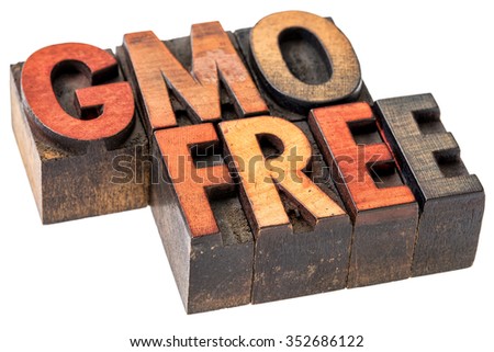GMO (genetically modified organism) free banner - isolated text in vintage letterpress wood type stained by inks