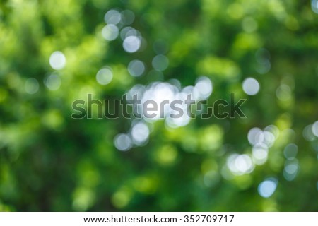 Natural green bright blur background