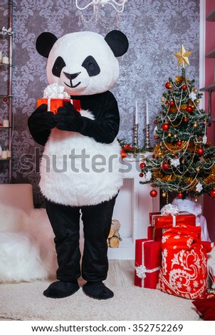 Preparing for Christmas. A man dressed as a panda in the interior of the Christmas room and holding a present 