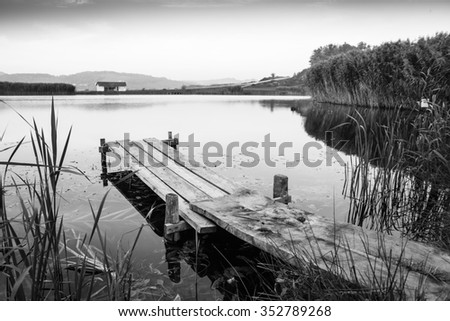 pier and lake black and white photography
