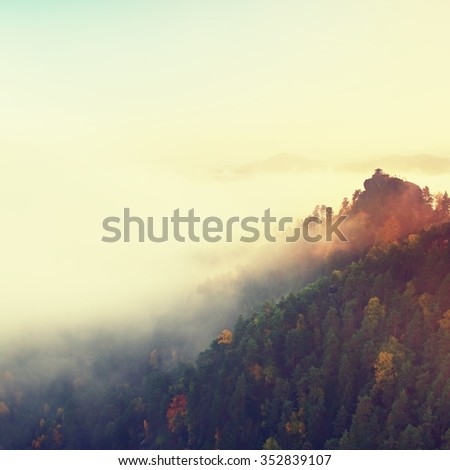 Wooden house or hut for hiker on the green  peak of forest hill. Autumn mist bellow in valley.