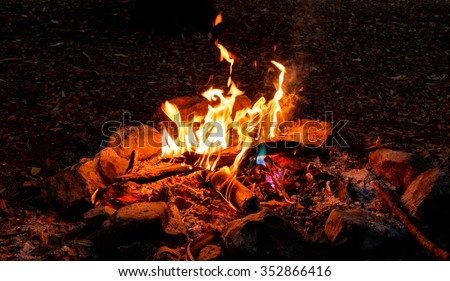 camp fire of wood