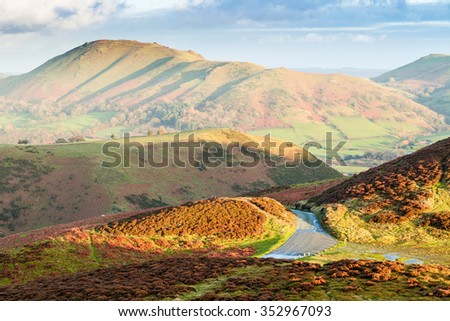 Empty Mountain Road Among Heather Hills, Autumnal Landscape Flooded in Susnet Light