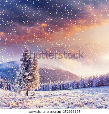magical winter landscape, background with some soft highlights and snow flakes