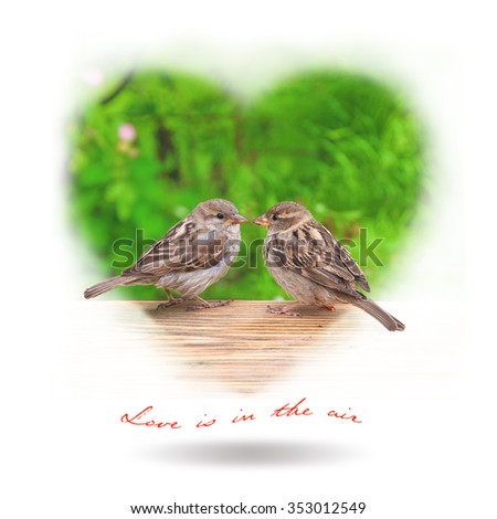 Valentines card with two birds in love and love is in the air phrase, isolated in white background