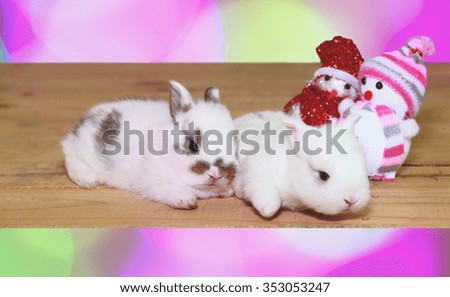 baby rabbit and snowman doll