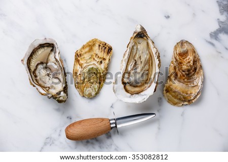 Shucked Oysters Fines de Claire and oyster knife on white marble background Royalty-Free Stock Photo #353082812