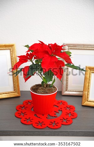 Christmas flower poinsettia and decorations on drawers with Christmas decorations, on light background