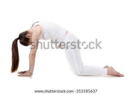 Portrait of young pregnant fitness model in sportswear doing yoga or pilates training, Cat Pose, Marjaryasana, asana for flexible spine and shoulders, often paired with Cow Posture, studio, isolated