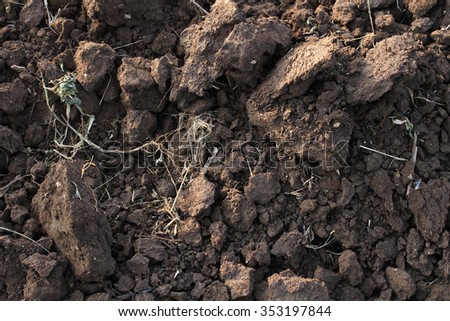 brown fertile  soil for plants