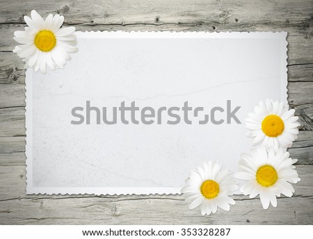 Old fashioned blank photograph on grey chapped wood with marguerite blossoms; Background for vintage greeting cards