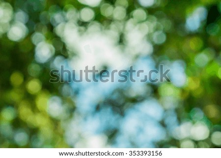The green leaf beautiful in blur background